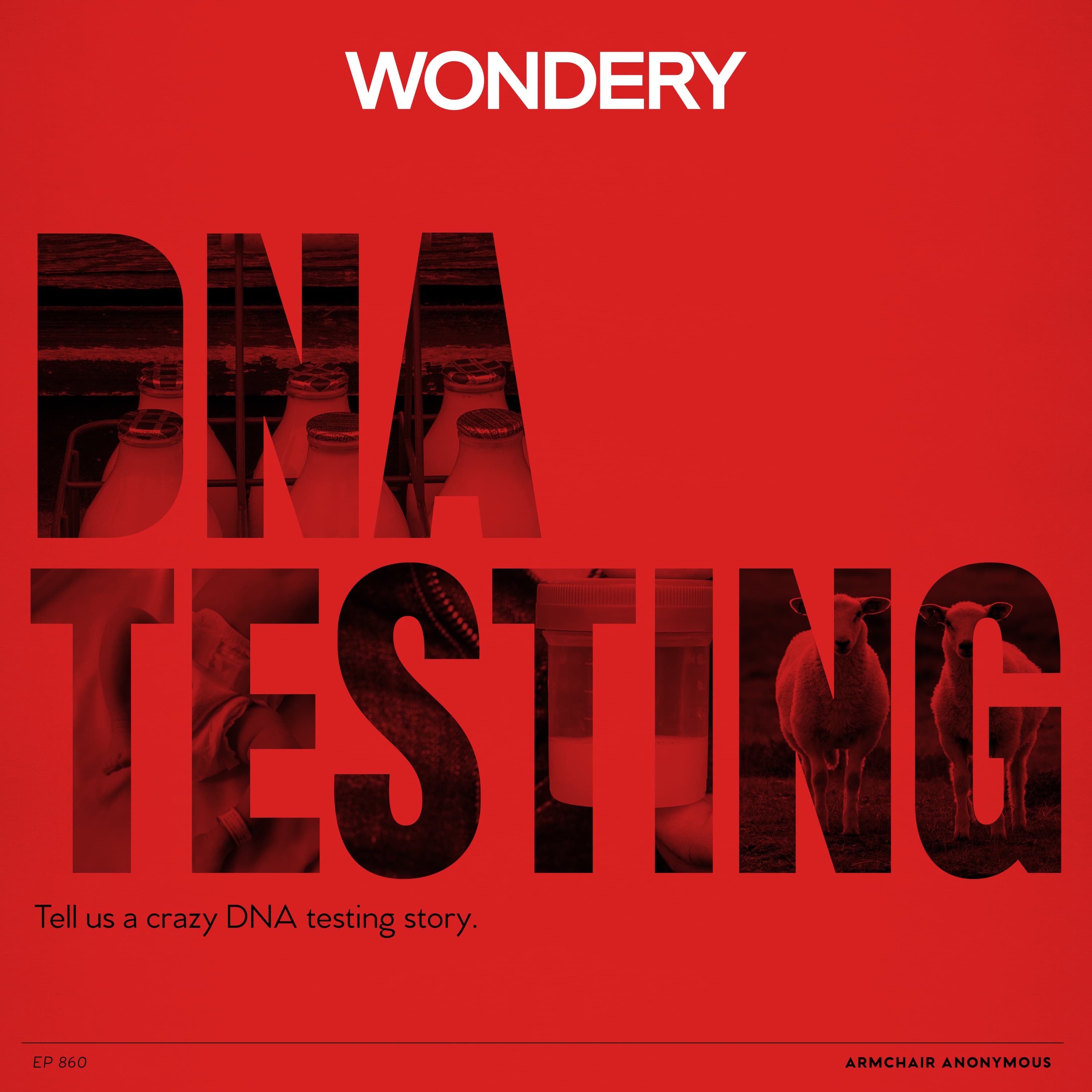 Armchair Anonymous: DNA Testing