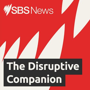 The Disruptive Companion: Migrants' stories