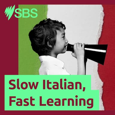 Ep. 333: SBS Italian News Bulletin - Ep. 333: Il notiziario di SBS Italian