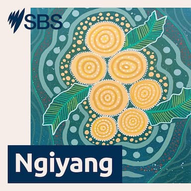 Mamaba Dyan: The early years reclaiming Wiradyuri language