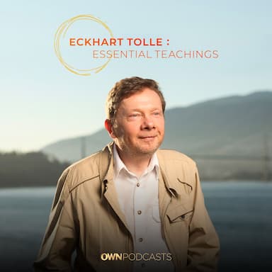 Essential Teachings Special: Transcending Our Stories