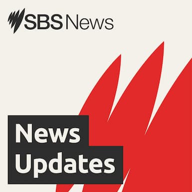 Morning News Bulletin 12 December 2024