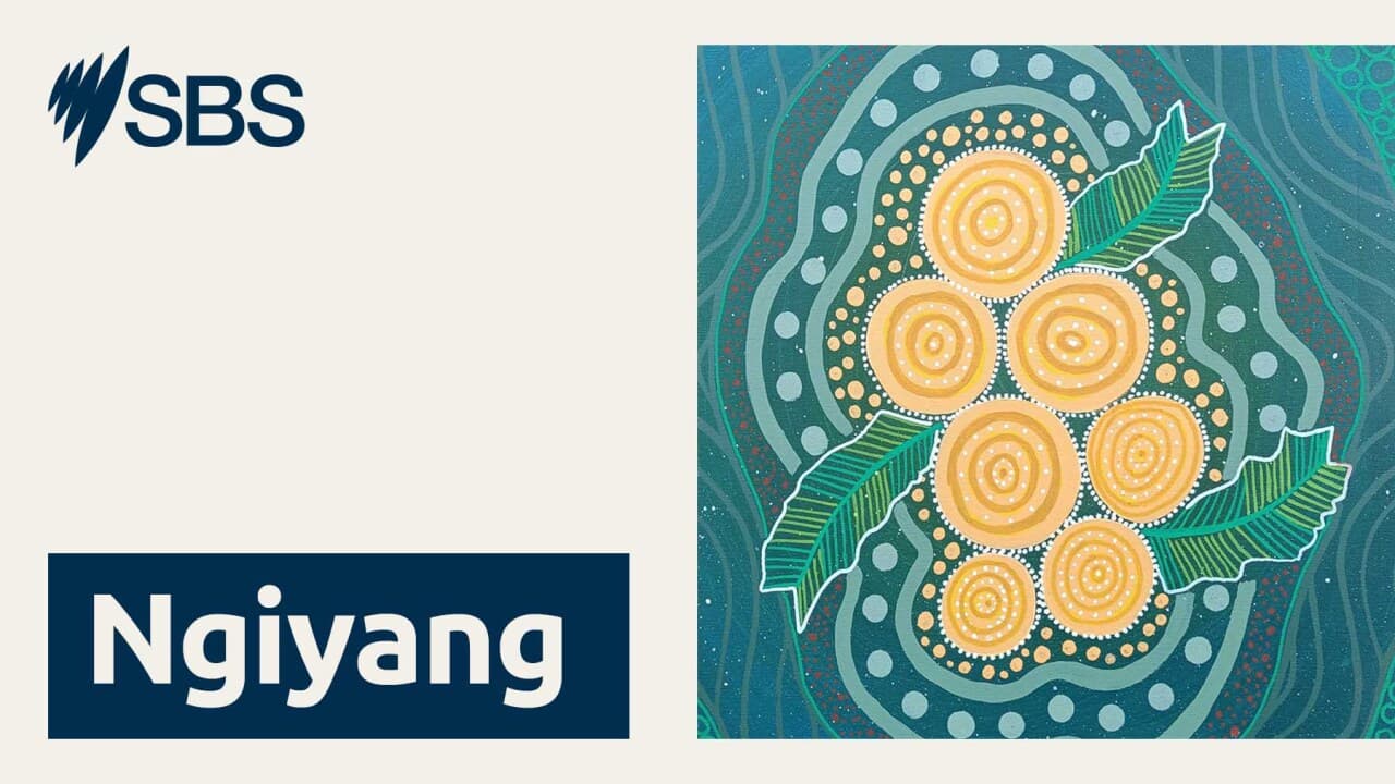 Wiray ngiyang, wiray mayiny: No language, no people