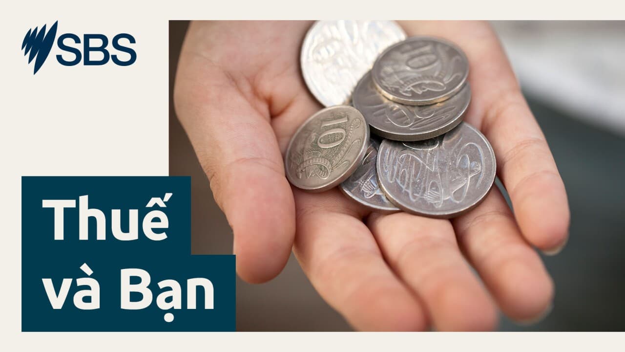 Thuế và bạn: Những việc cần làm trước ngày 30/6 để tối đa hoá khoản tiền hoàn thuế