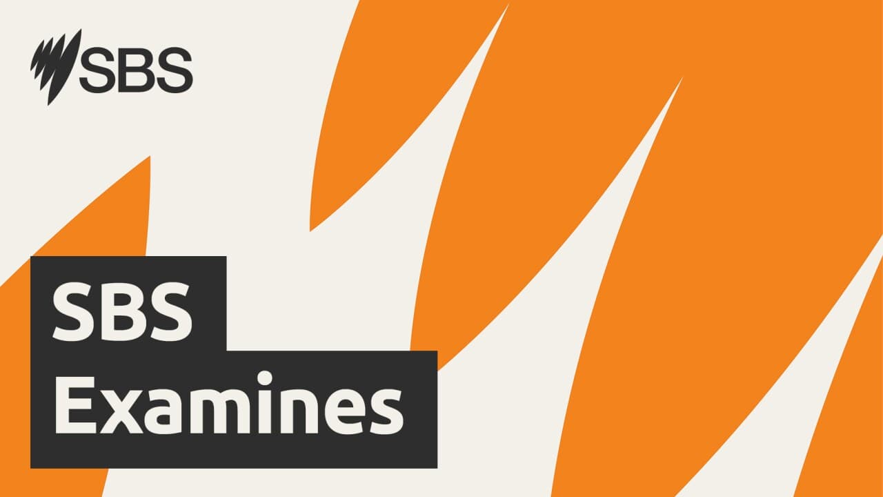 Follow the money: how lobbying and big donations influence politics in Australia